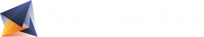 borspecteh_logo_darkbg